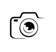 Calathea Beauty Star